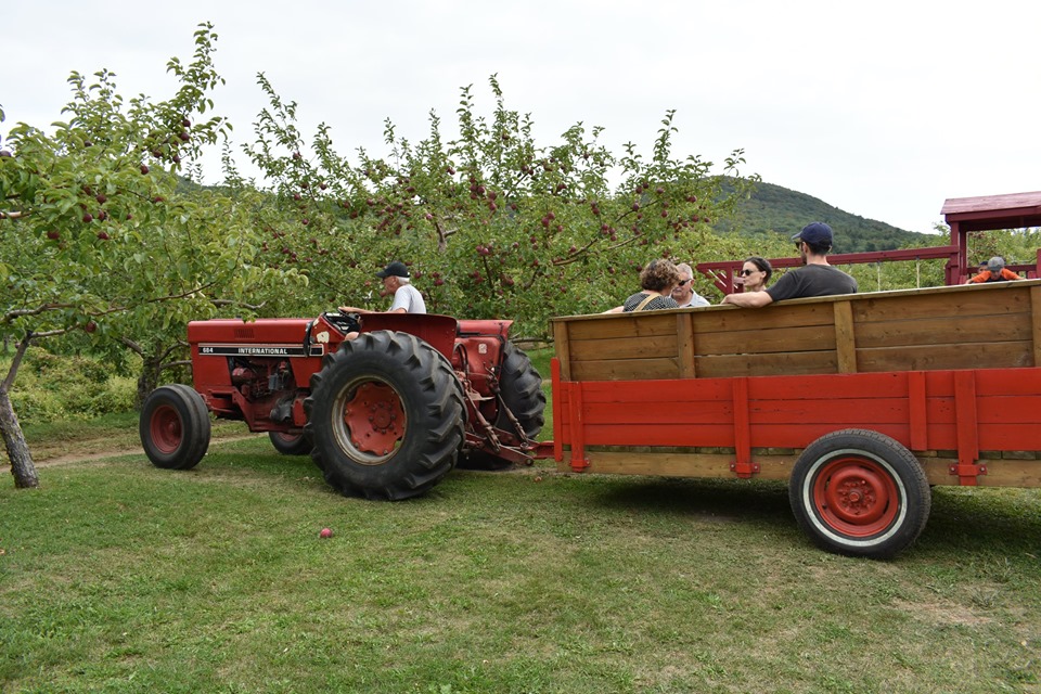 You can also take a tractor or car ride through the orchard—simply to admire the view or to discover where the finest apples are hiding!