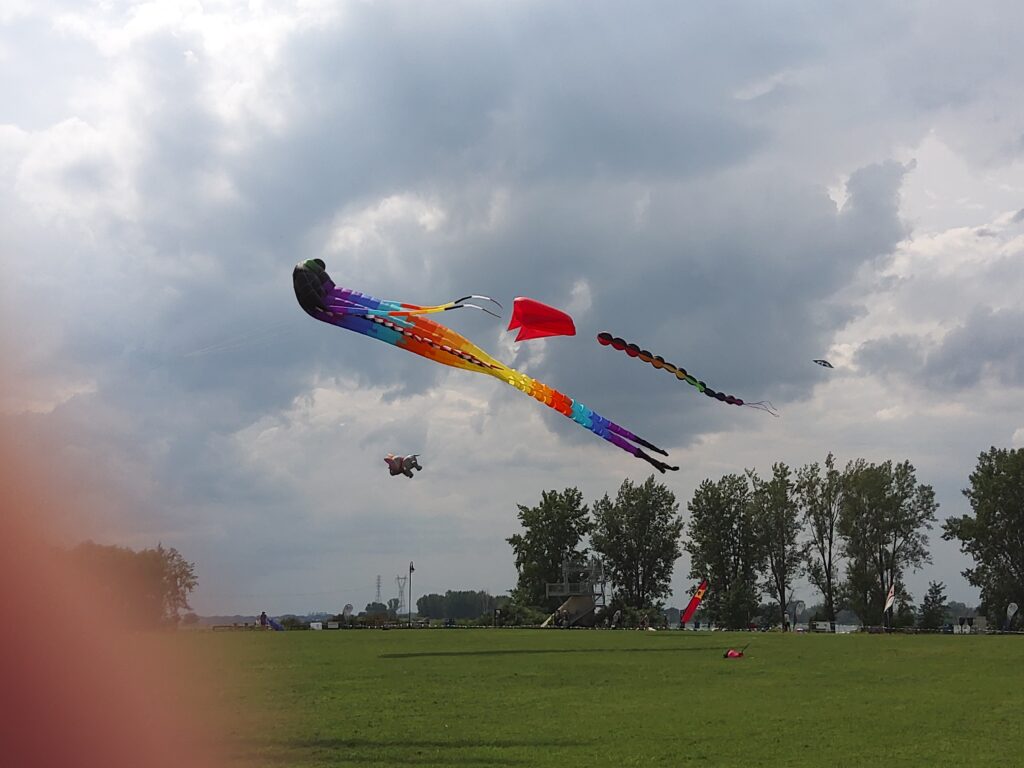 Kites delight both young and old!
