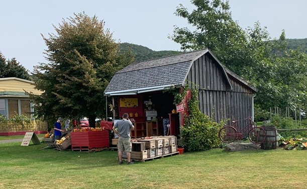 A kiosk offers passersby a complete assortment of apple products!